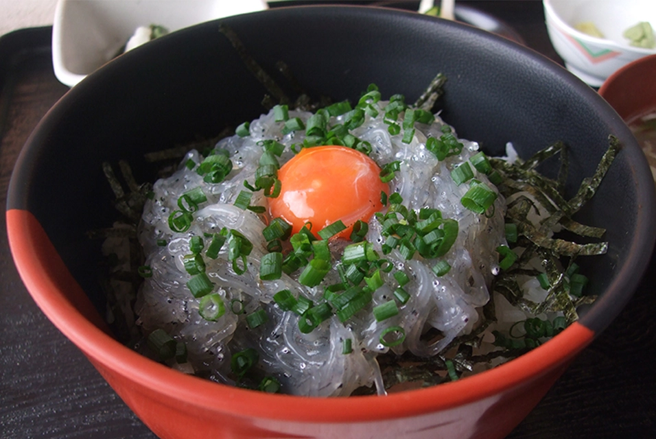 生しらす丼