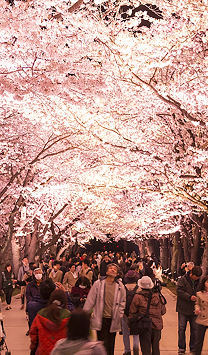 高田公園