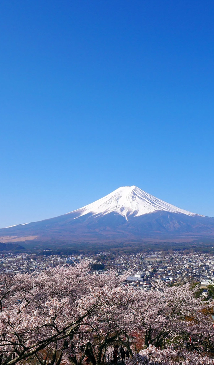 富士山