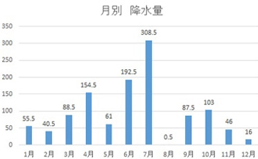 降水量 (mm)