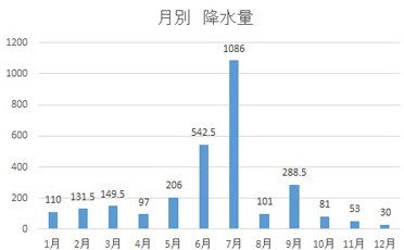 降水量 (mm)